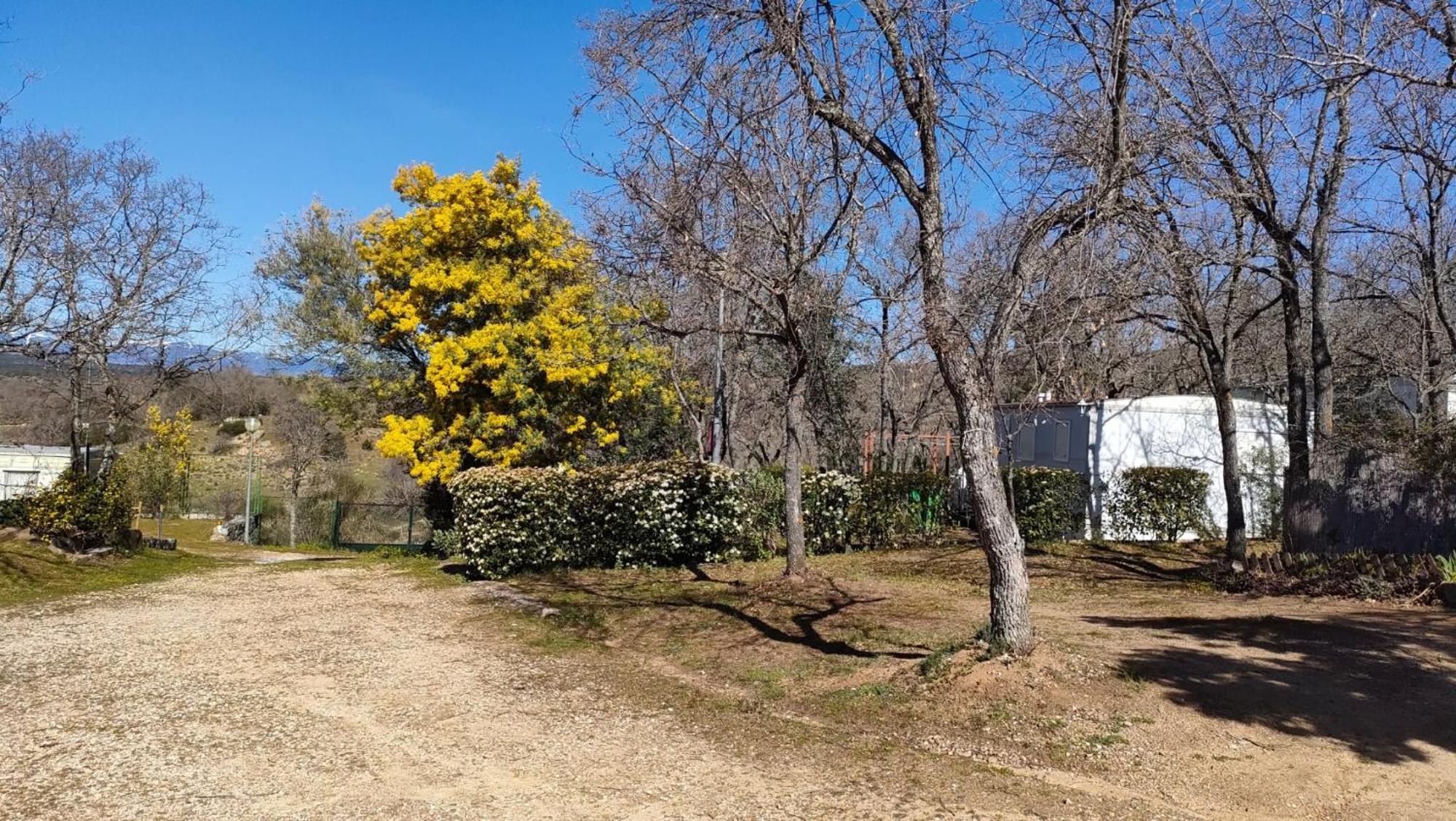 Camping De Cervera De Buitrago Dış mekan fotoğraf