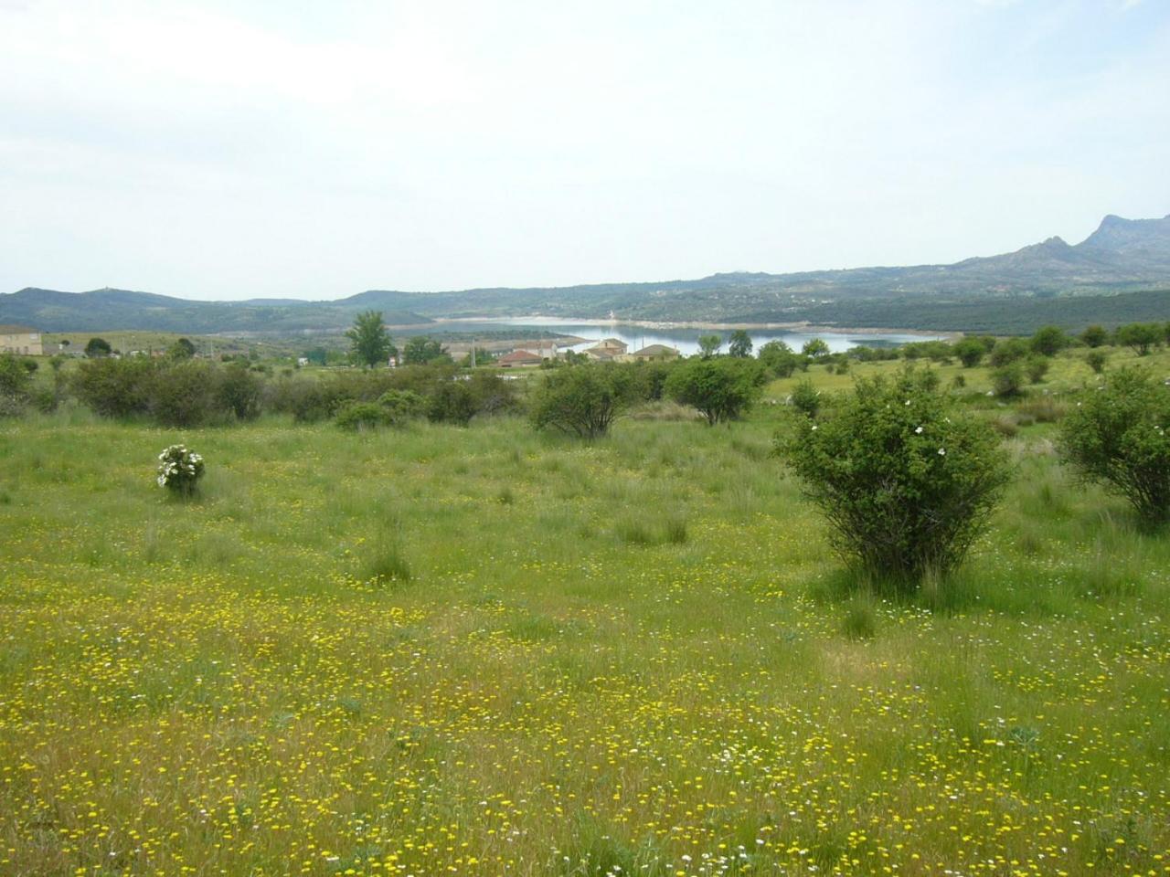 Camping De Cervera De Buitrago Dış mekan fotoğraf